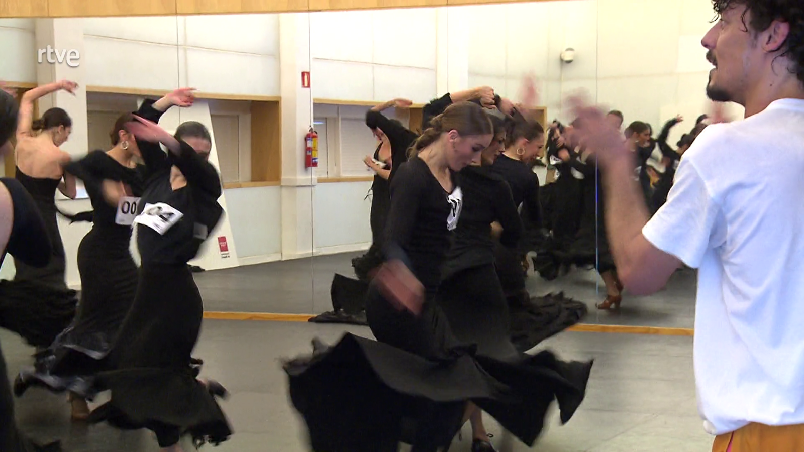 Ballet Español de la Comunidad de Madrid - Atención obras | Ver