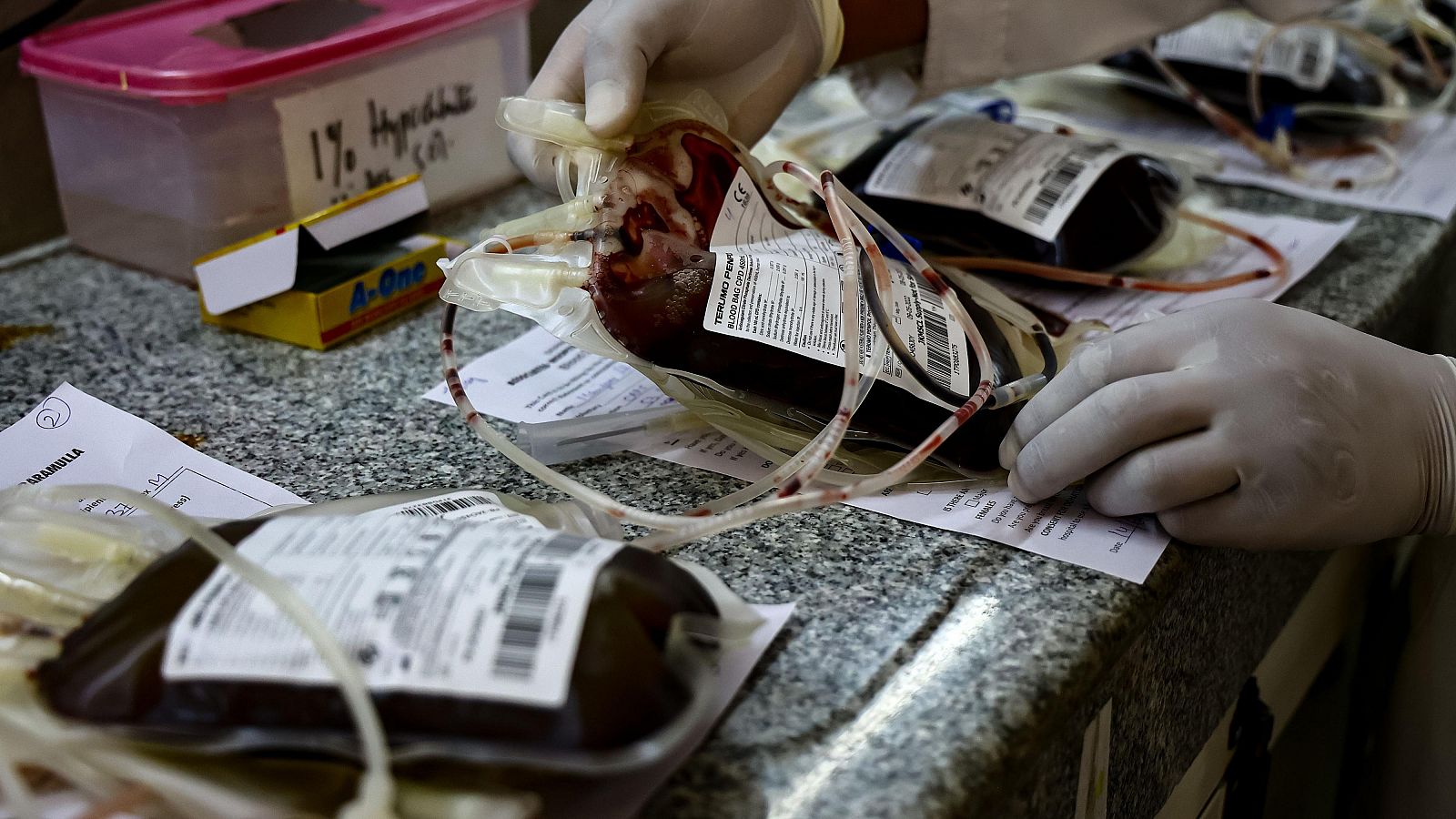 Un informe revela la verdad de los infectados por transfusiones