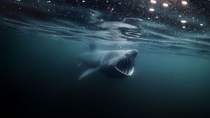 Las islas salvajes de Irlanda - Invierno salvaje