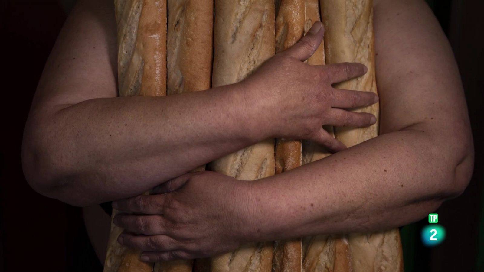 Acompañando a Rosa | Ver