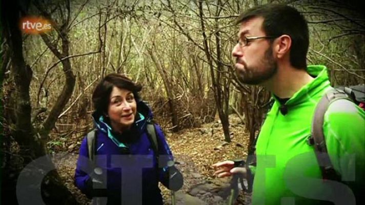 Cims - Gemma Lienas al Puig de les Bruixes