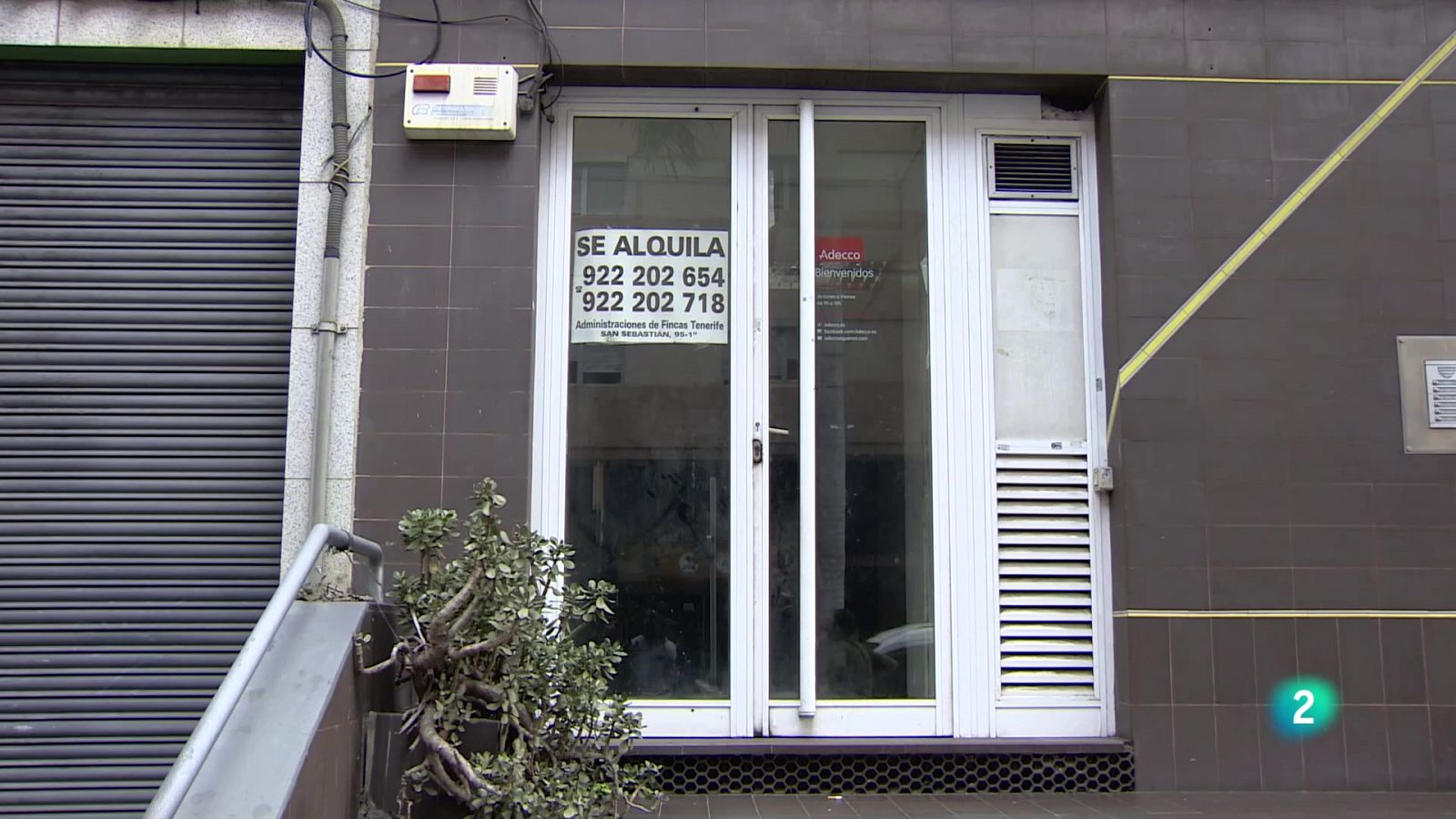 Telecanarias 2 - 21/05/2024 | Ver