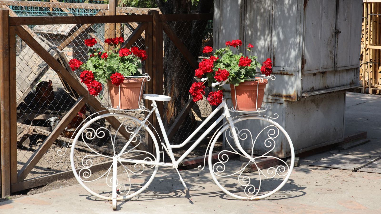 Sin equipaje - Serbia: Etnoaldeas - ver ahora