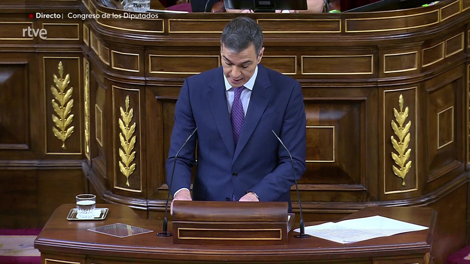 Especial informativo - Pleno y Sesión de control al Gobierno - ver ahora