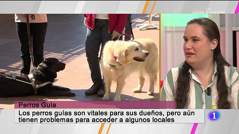En Canarias hay unos 45 perros guas.

Ahora la ley es ms efectiva en denunciar un trato marginal al perro gua porque es vital para sus dueos.