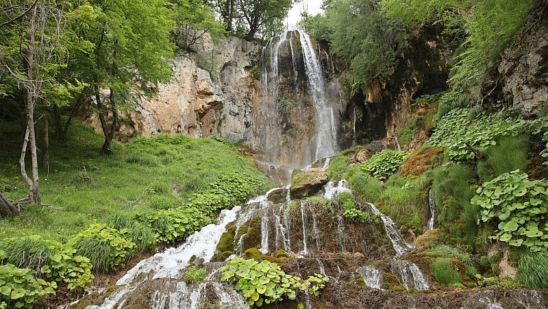 Sin equipaje - Serbia: Cascadas, Reserva Natural especial de Uvac - ver ahora