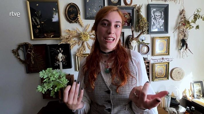 Va de verd - Plantes protectores i purificadores