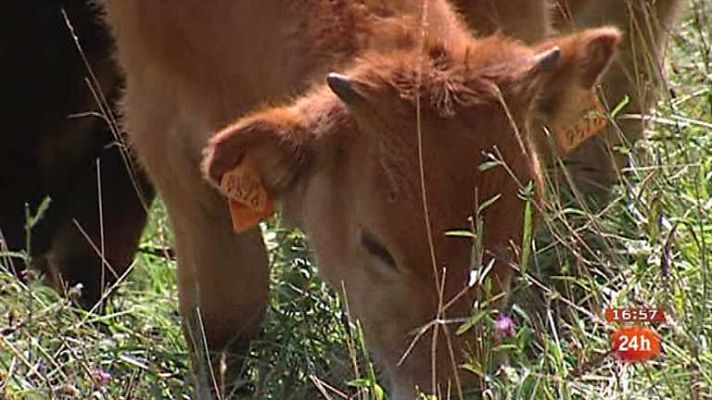 España en 24h - España en 24 horas - 13/12/12