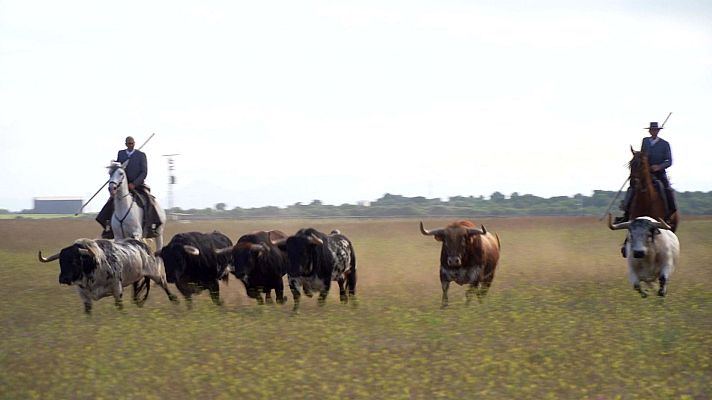 Tendido cero - Tendido Cero - 25/05/24