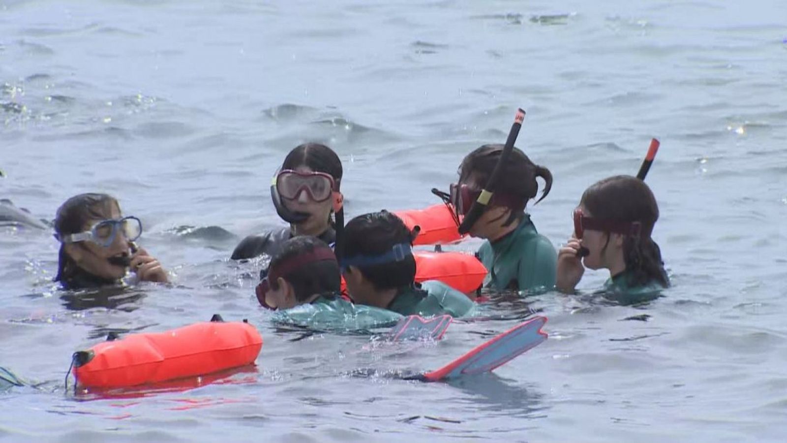 Voluntaris per la biodiversitat - L'Informatiu | Veure