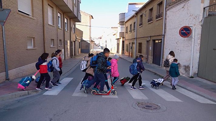 Seguridad vital 5.0 - Seguridad vital 5.0 - 26/05/24