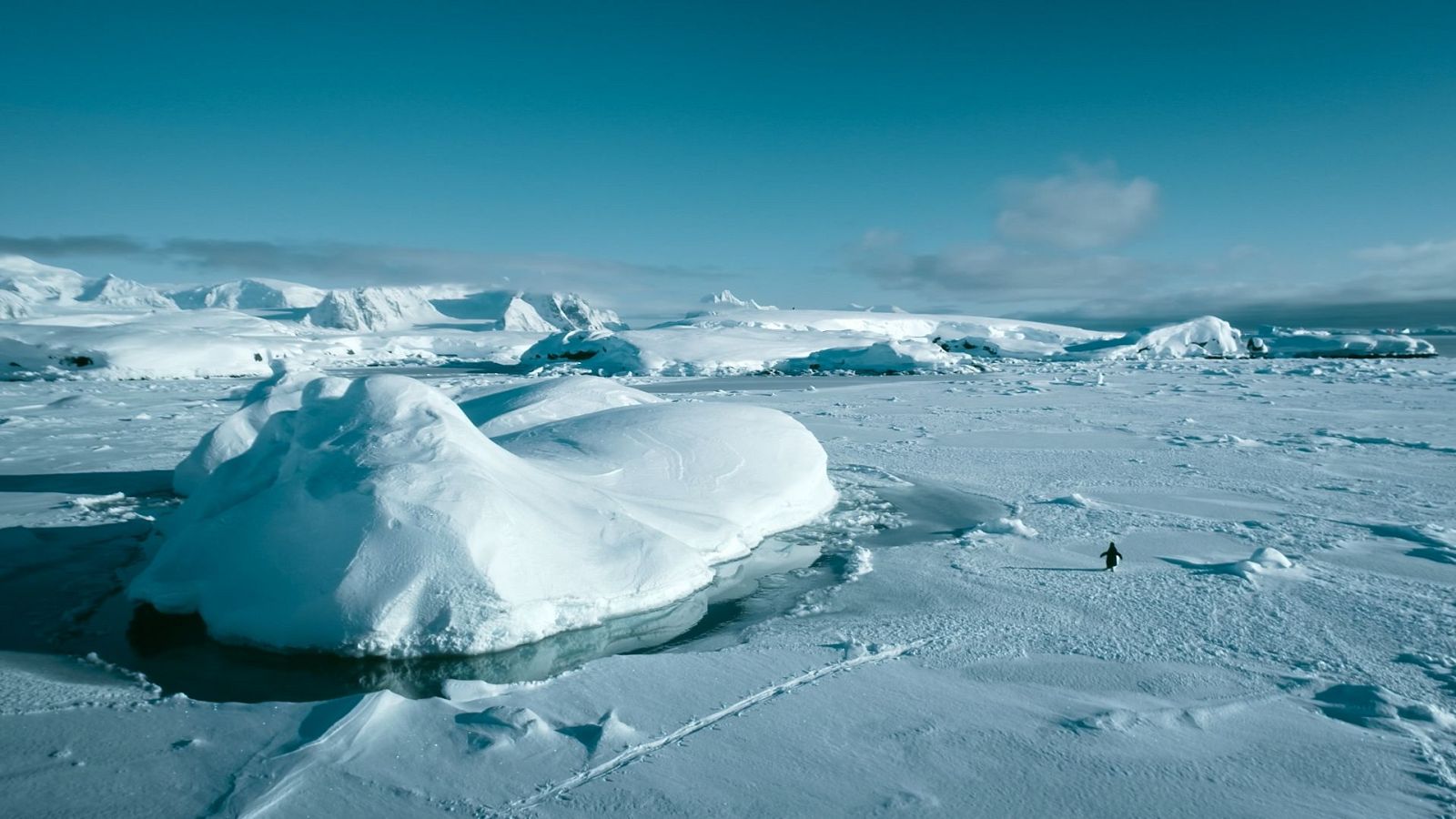 El cazador de cerebros - 26/05/24 - ver ahora