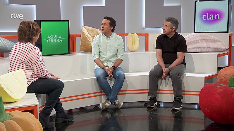 RTVE responde - 26/05/24 - ver ahora