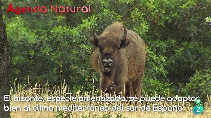 La aventura del Saber - Agenda natural
