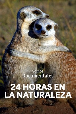 24 hores a la natura