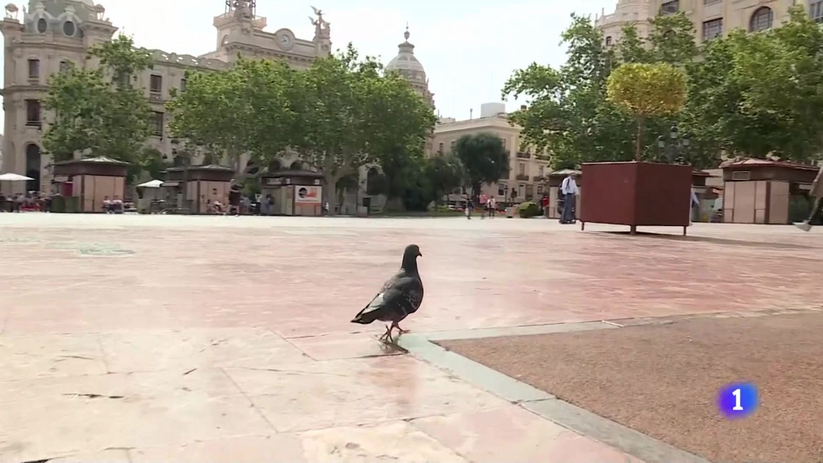 L'Informatiu de la Comunitat Valenciana 2 - 27/05/24 | Ver