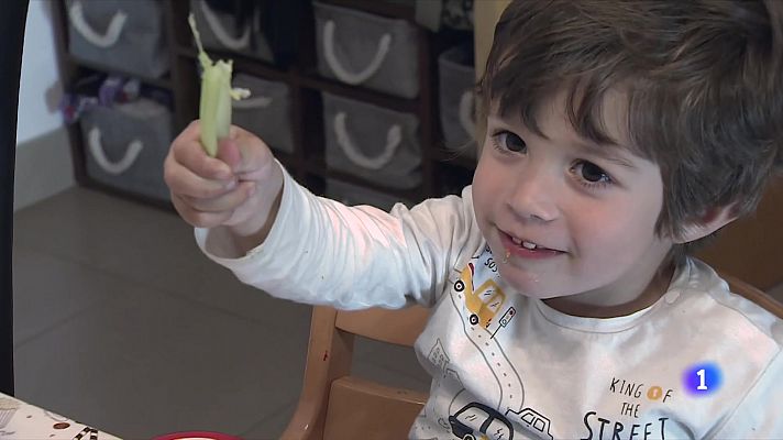 L'Informatiu - Patró alimentari per afavorir que els infants mengin verdura