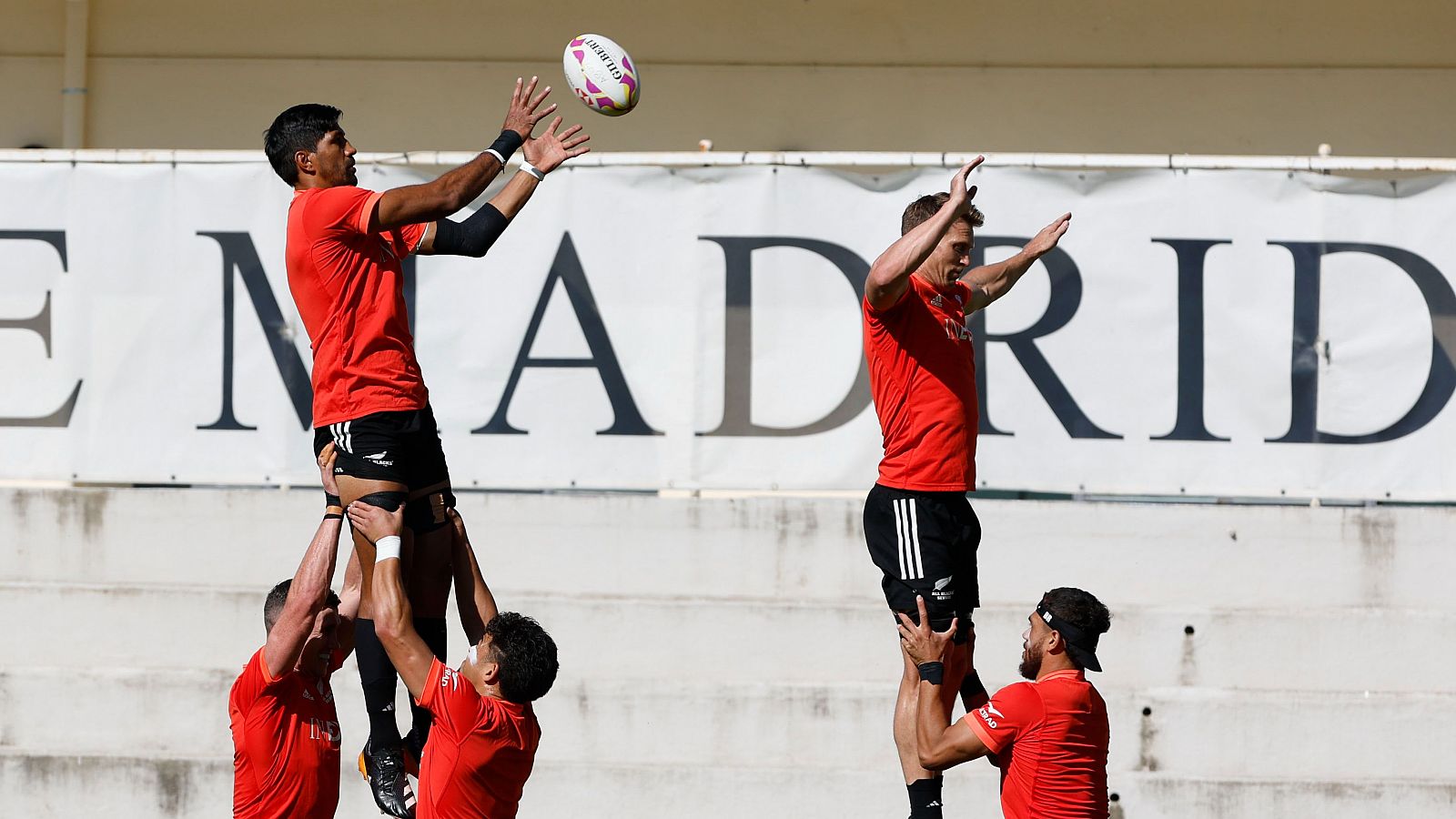 Los 'All Blacks' ya entrenan en España - Diario 24 | Ver