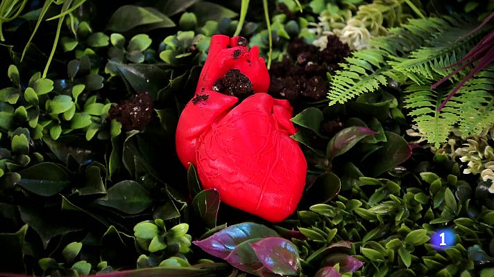 Informativo Telerioja - Informativo Telerioja 2 - 28/05/24