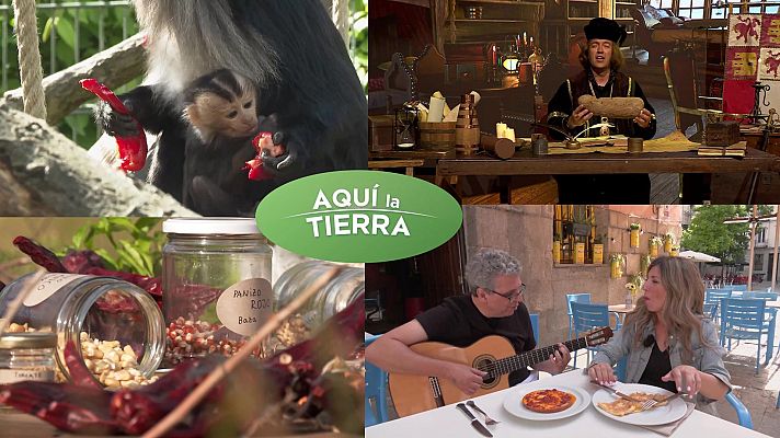 Aquí la Tierra - Aquí la Tierra - 28/05/24