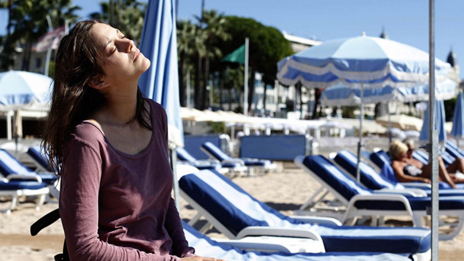  Días de cine: 'De óxido y hueso'