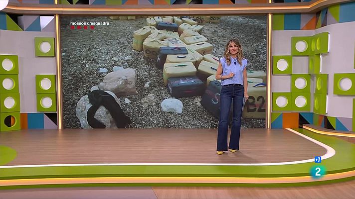 L'altaveu - Narcollanxes, robatoris i un kit de supervivència