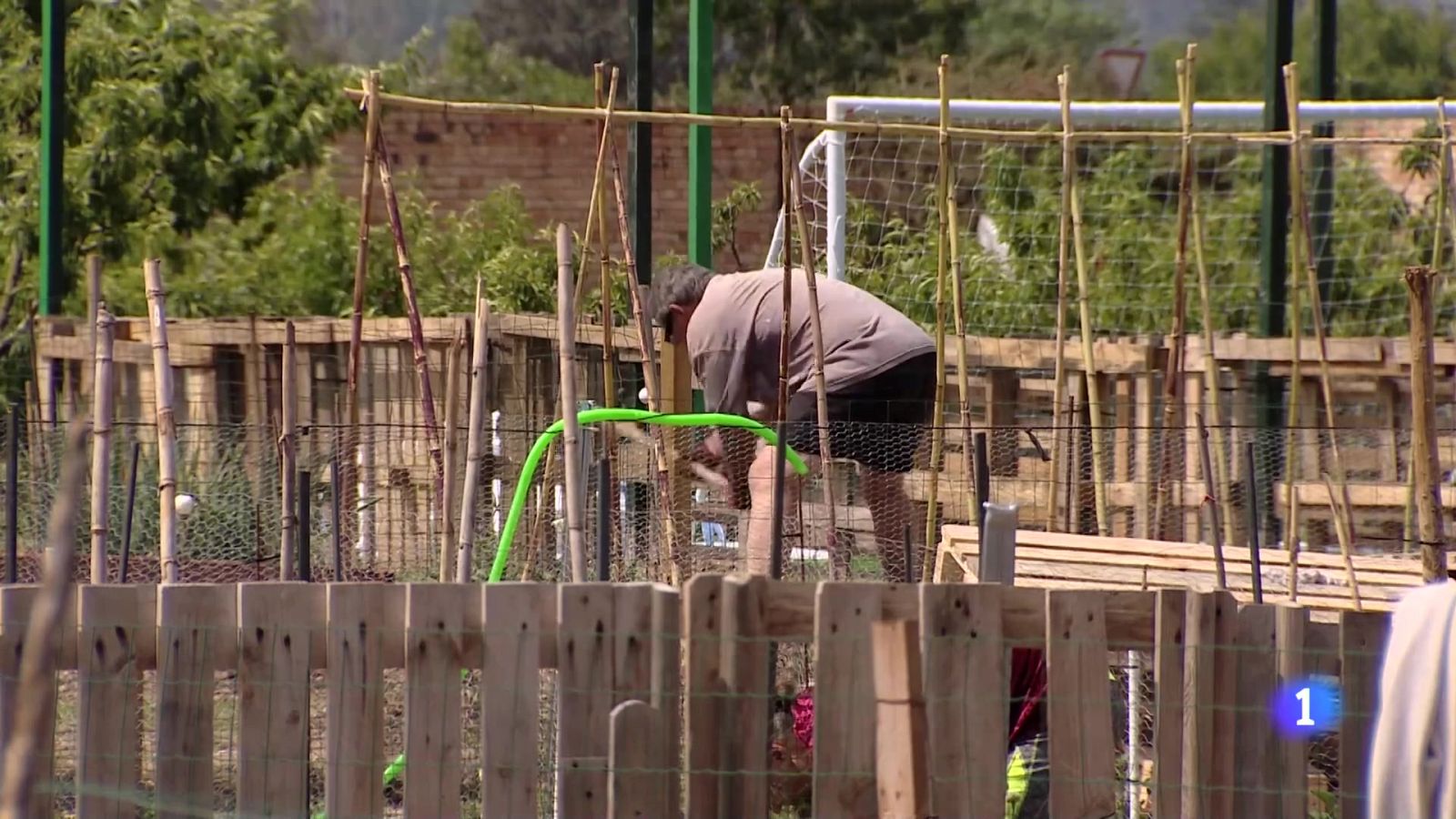 Informativo Telerioja 2 - 29-05-2024 | Ver