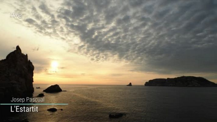 El temps - D’una calor estiuenca, a una calor i una dinàmica més primaverals