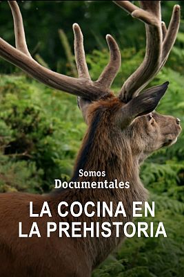 Somos Documentales - La cocina en la Prehistoria