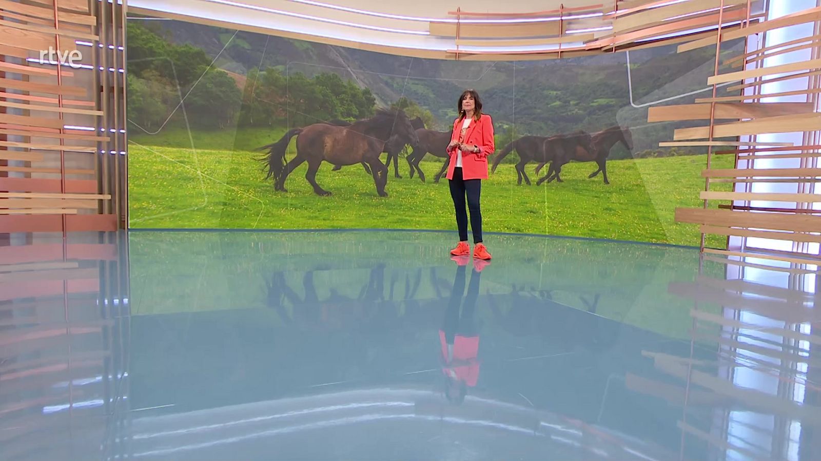 Ahora o nunca - Programa 344 - ver ahora