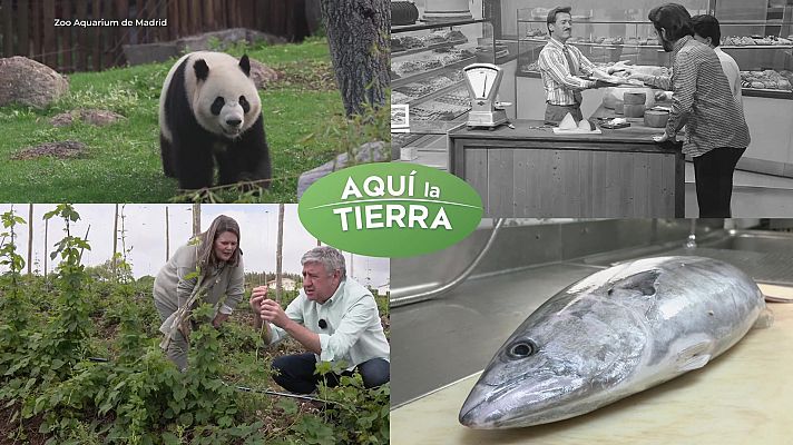 Aquí la Tierra - Aquí la Tierra - 30/05/24