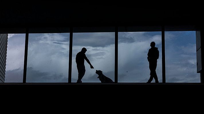 El tiempo - Cielos nubosos con algunas precipitaciones y temperaturas sin cambios o en ligero descenso