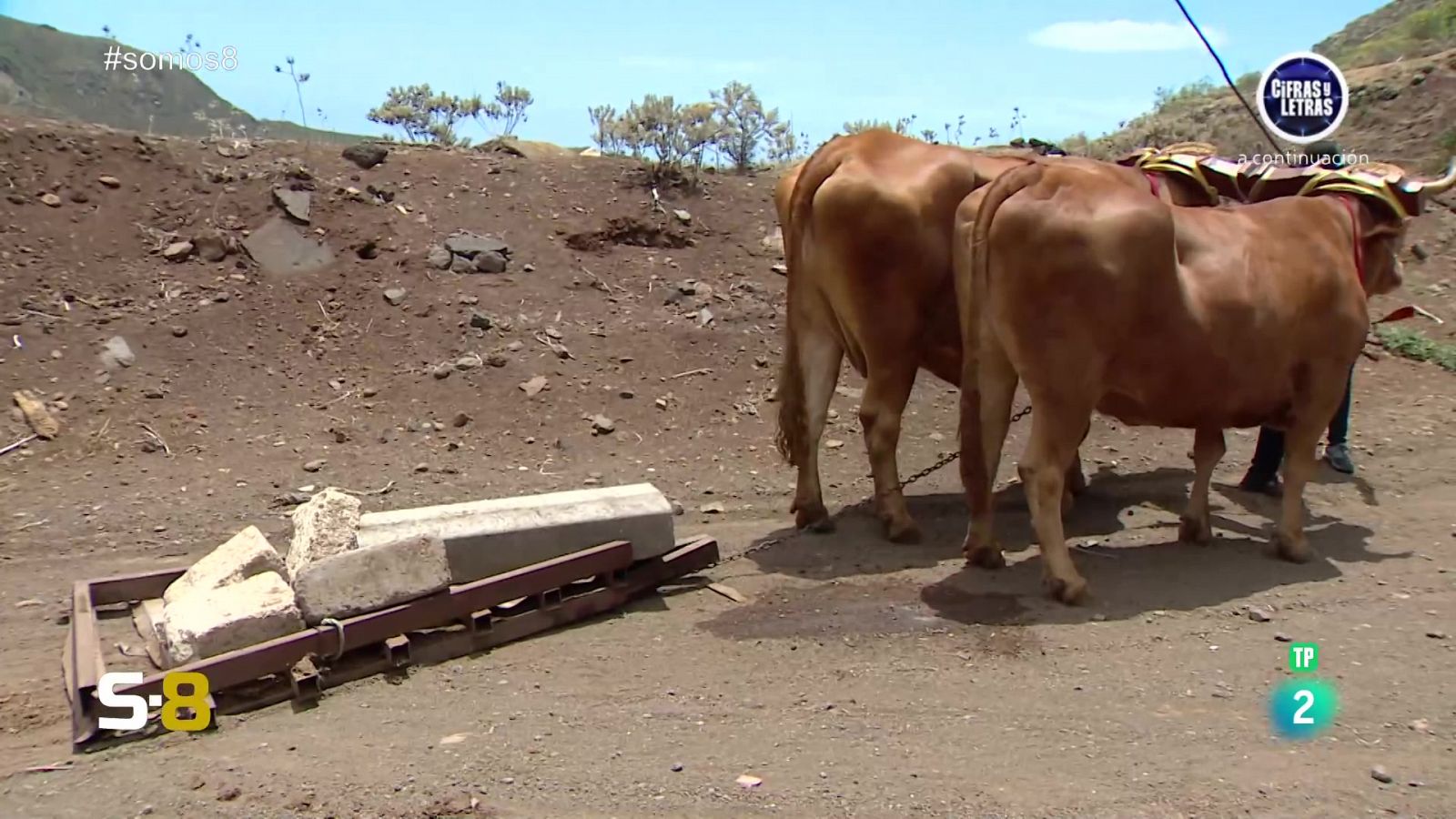 Somos 8 - 30/05/2024 - Somos 8 | Ver