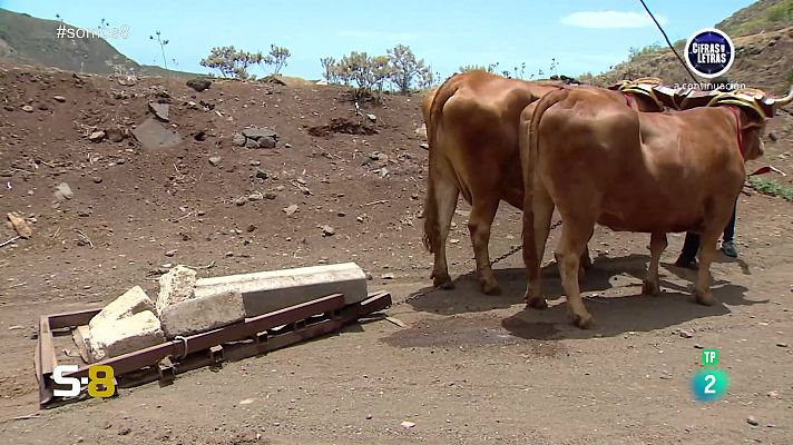 Somos 8 - Somos 8 - 30/05/2024