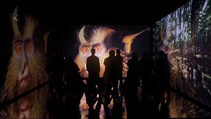 Zoom net - Connect 24, WashG1, Arcfox y L:E:V.