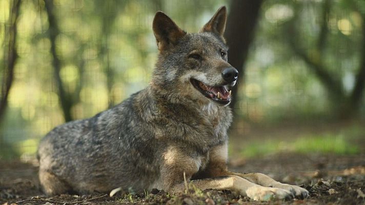 Agrosfera - Agrosfera - 01/06/24