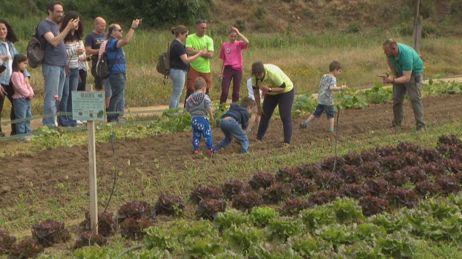 Els aliments no cauen del cel - L'Informatiu | Veure