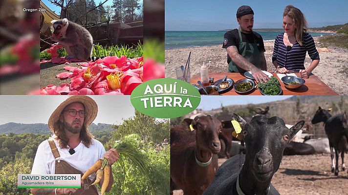 Aquí la Tierra - Aquí la Tierra - 02/06/24