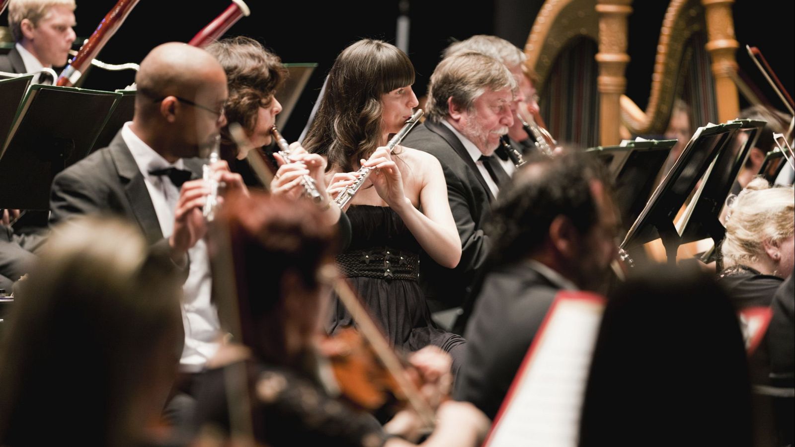 Plan relax: el Concierto de Aranjuez - Saber vivir | Ver