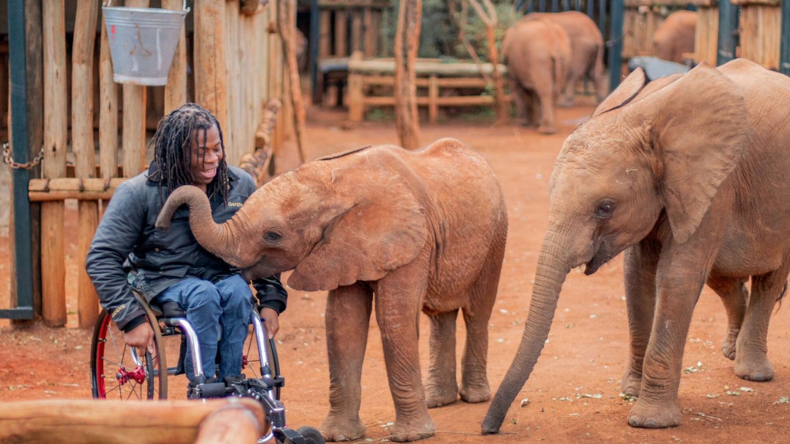 Planeta en peligro (Changing planet) - Episodio 2 - Ver ahora