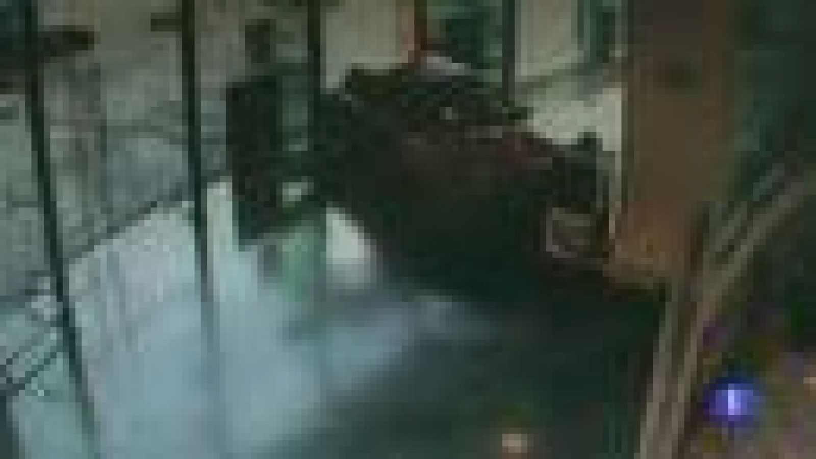 Desarticulada organización criminal especializada en robos