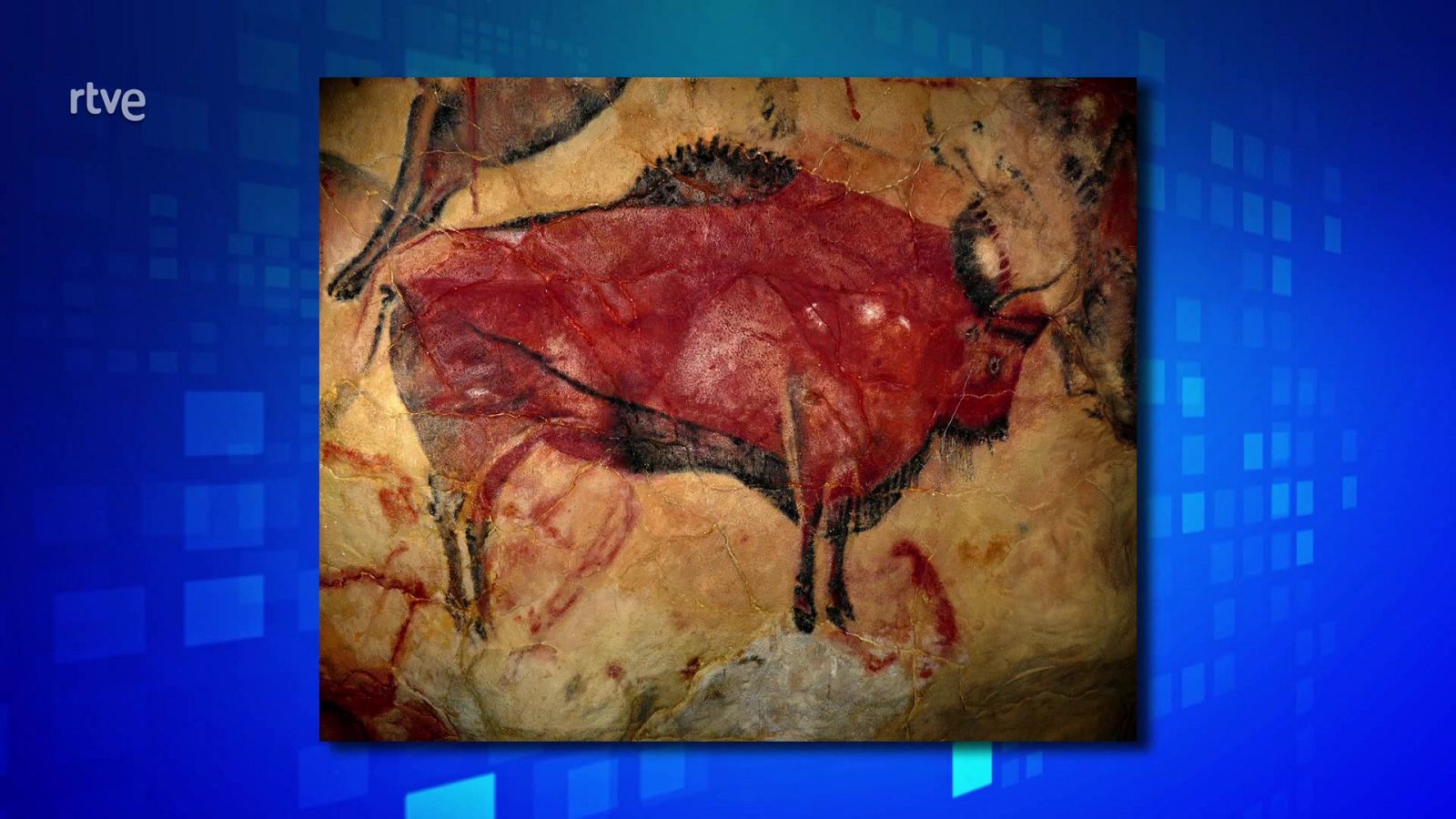 Saber y ganar - 03/06/24 - ver ahora