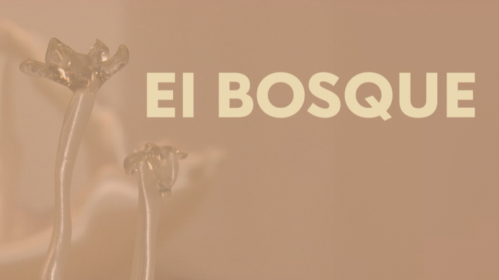 Noticias Andalucía - Un bosque de nácar