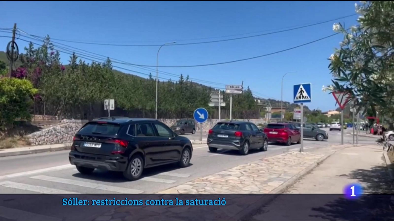 MASSIFICACIÓ A SÓLLER | Ver