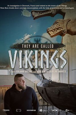 Los llaman vikingos