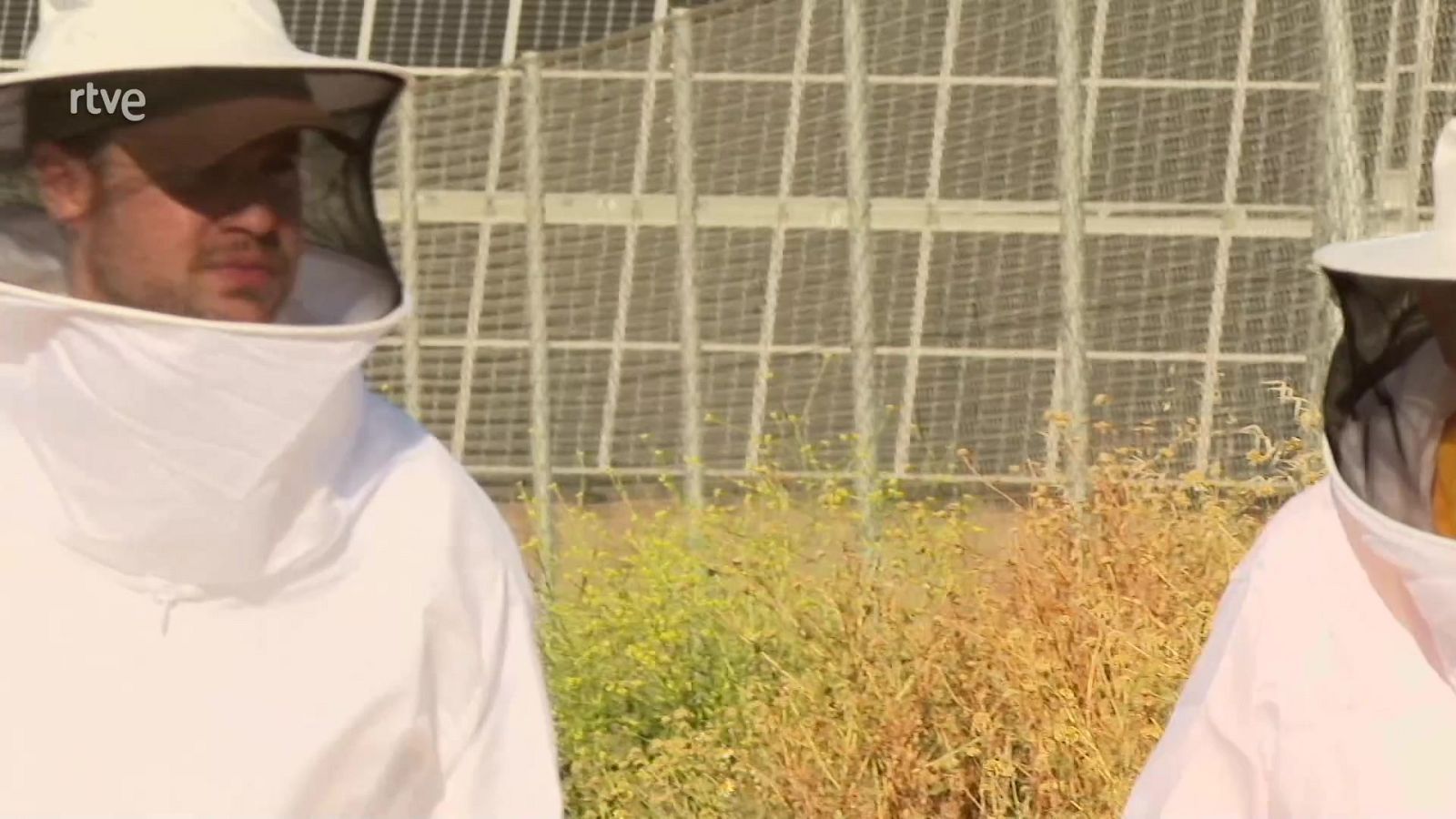 El trabajo en tres empresas sostenibles - Aquí hay trabajo | Ver