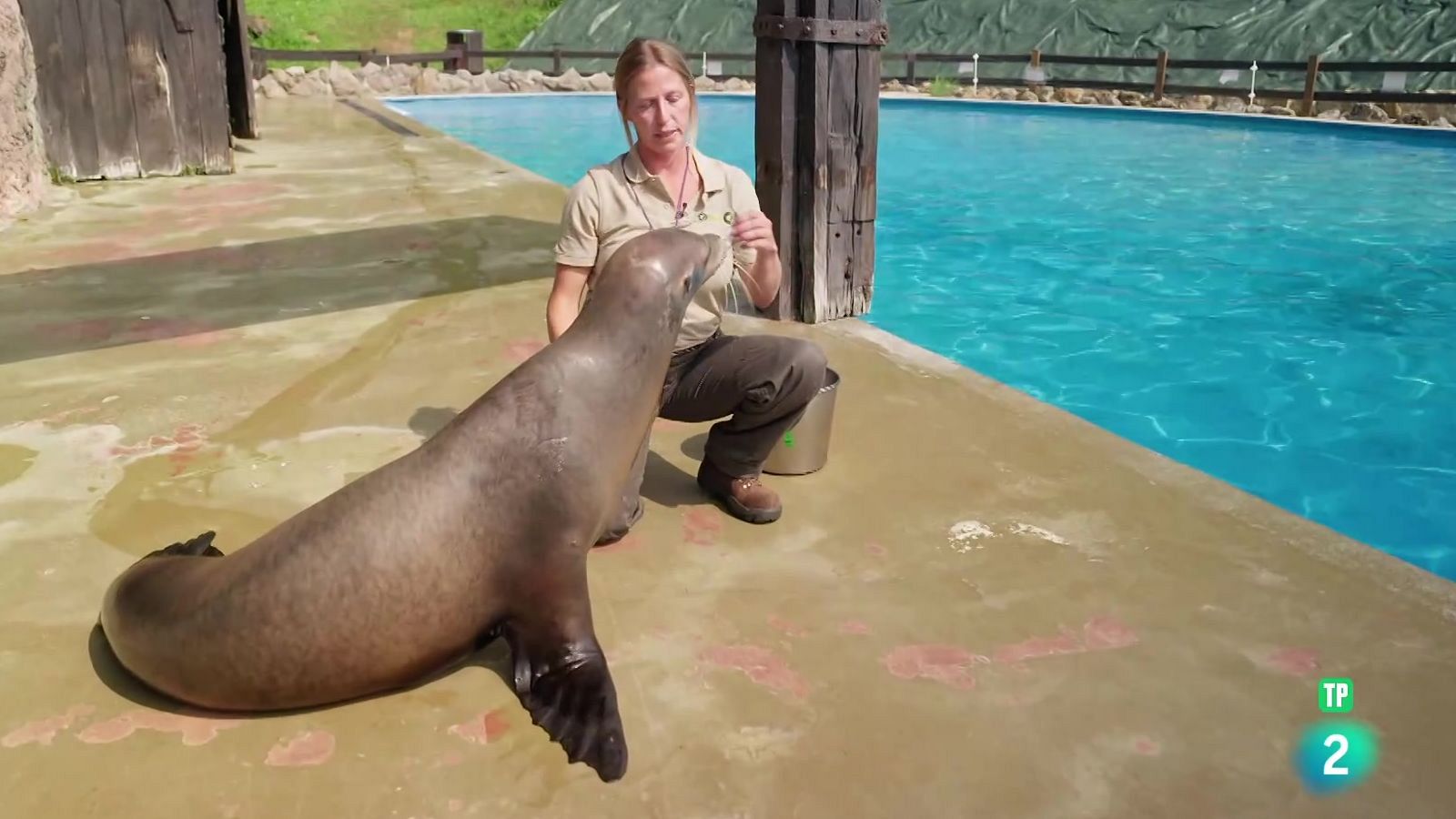 Qué quiero ser de mayor: Sector agroalimentario | Ver
