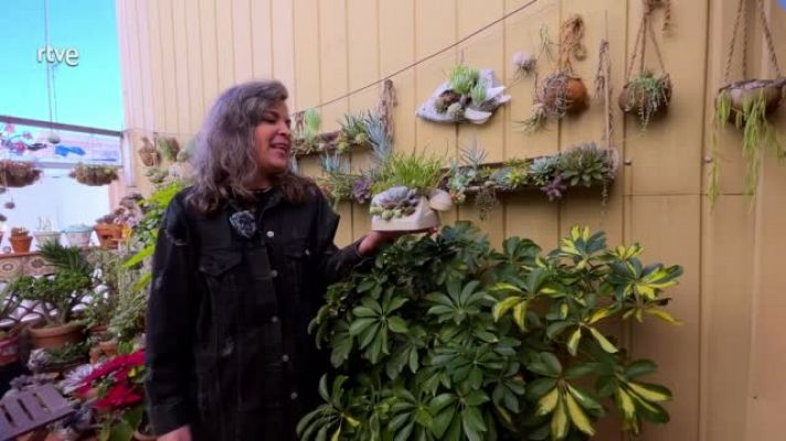 Va de verd - Art viu