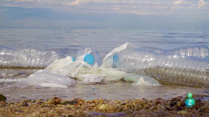 Universo Sostenible: Qué es la restauración ecológica