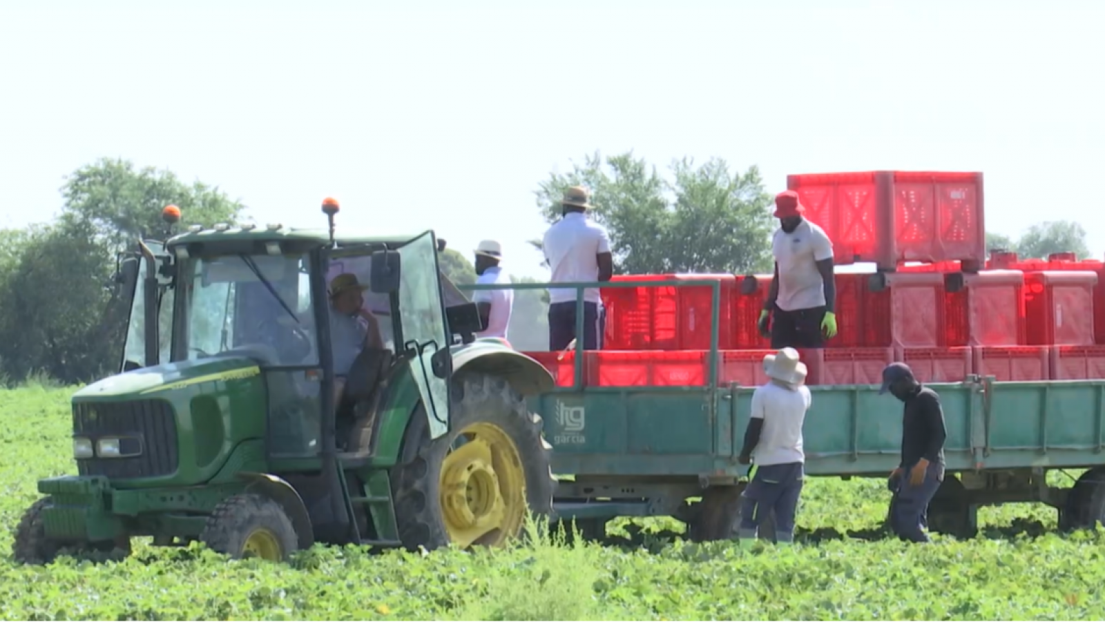 Oxfam denuncia la carencia de derechos de los migrantes del campo | Ver